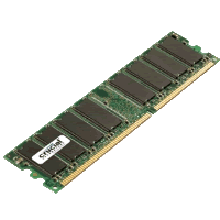 ram